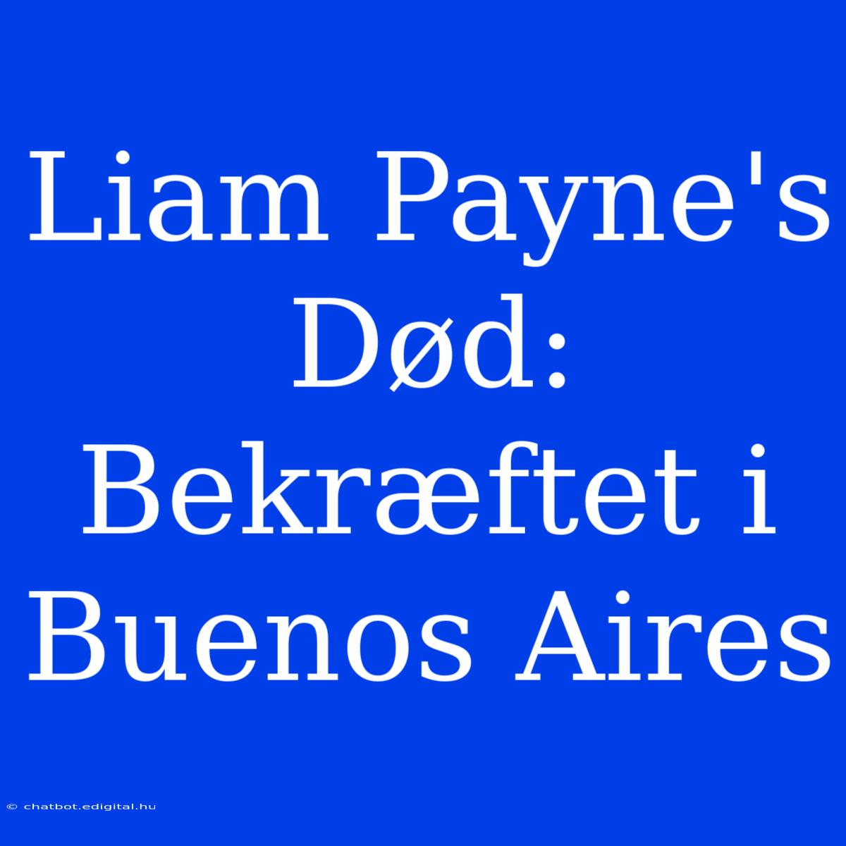 Liam Payne's Død: Bekræftet I Buenos Aires