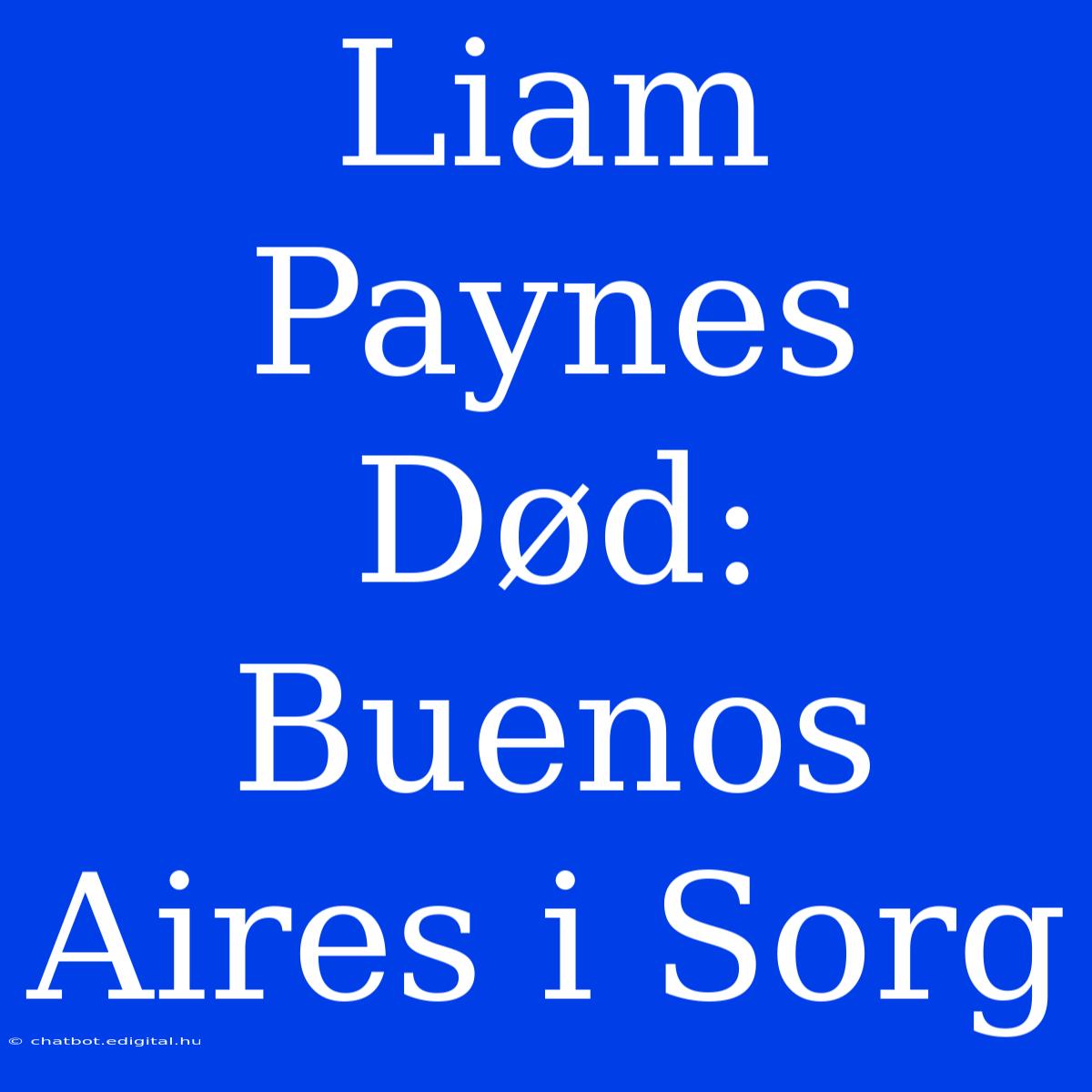 Liam Paynes Død: Buenos Aires I Sorg 