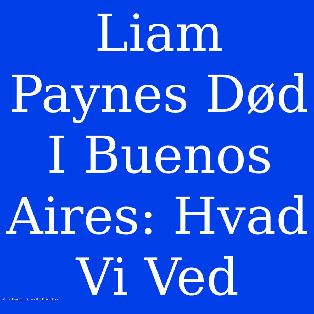 Liam Paynes Død I Buenos Aires: Hvad Vi Ved