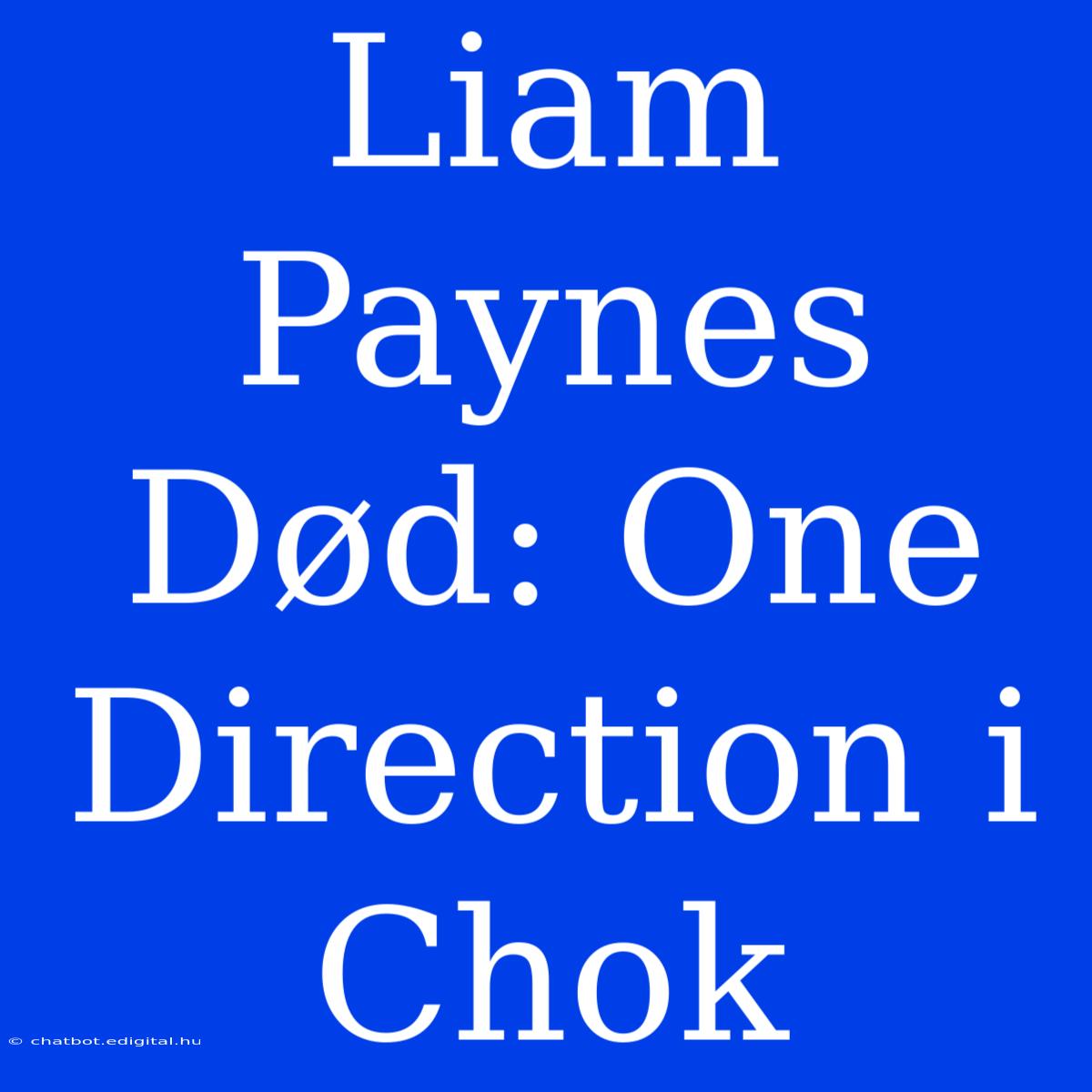 Liam Paynes Død: One Direction I Chok