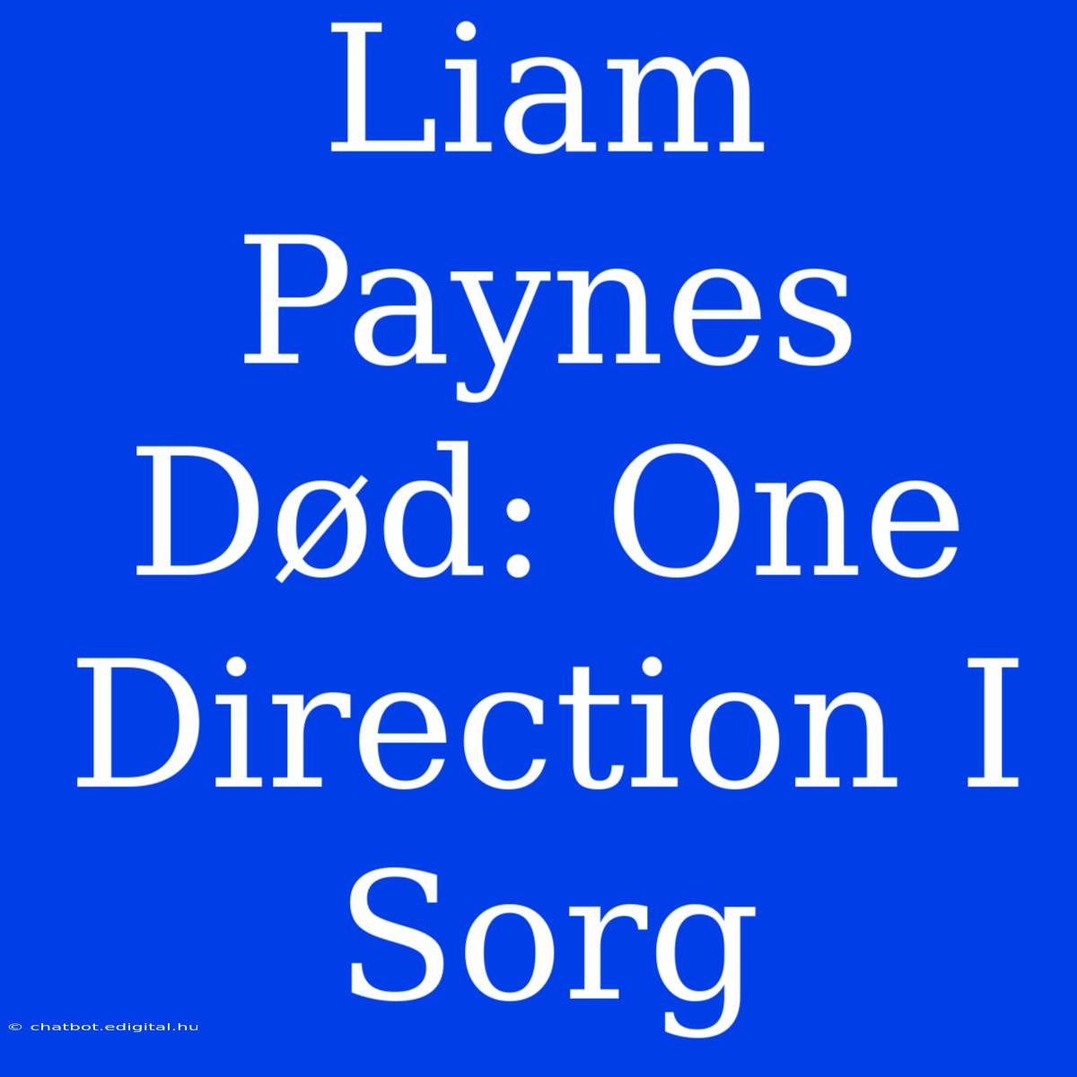 Liam Paynes Død: One Direction I Sorg