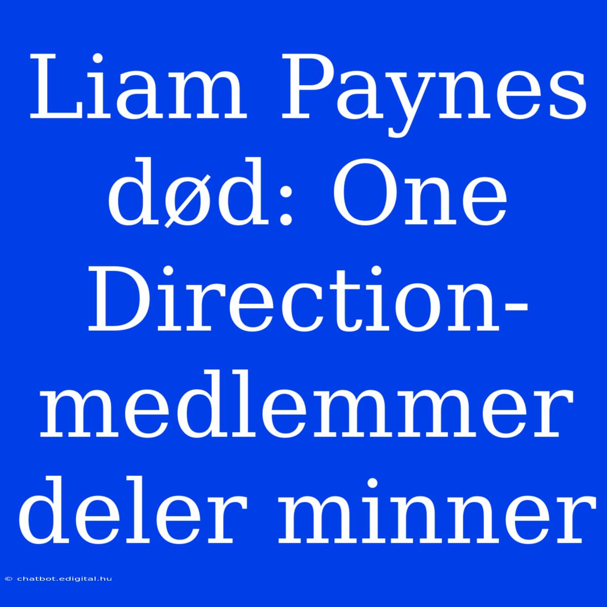 Liam Paynes Død: One Direction-medlemmer Deler Minner 