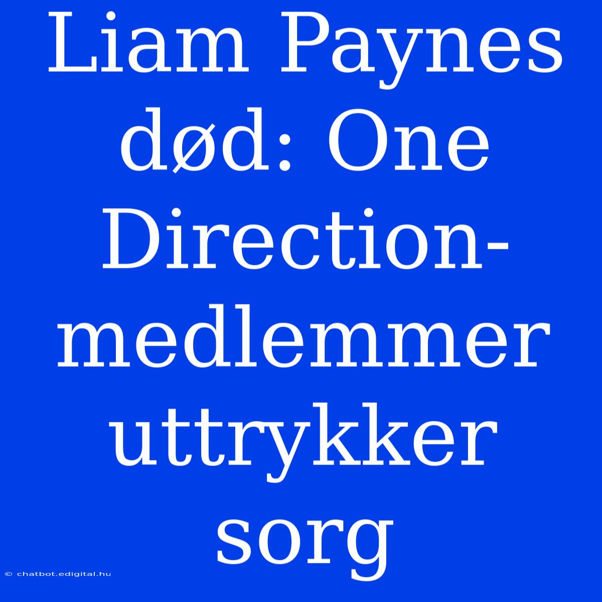 Liam Paynes Død: One Direction-medlemmer Uttrykker Sorg