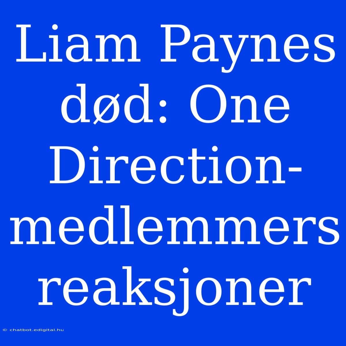 Liam Paynes Død: One Direction-medlemmers Reaksjoner