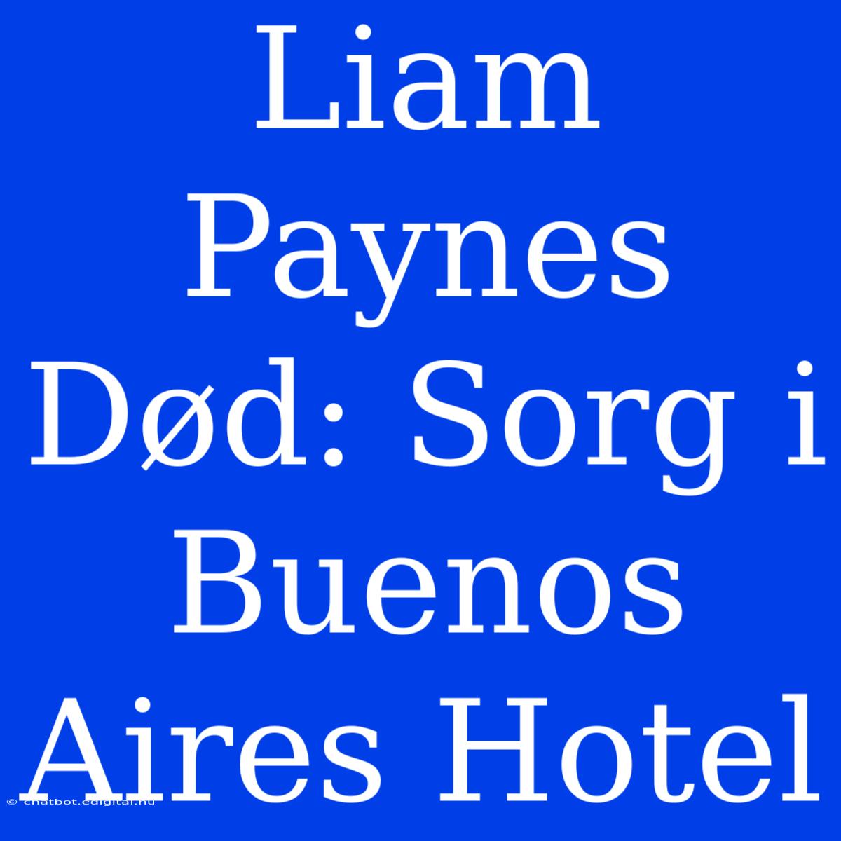 Liam Paynes Død: Sorg I Buenos Aires Hotel