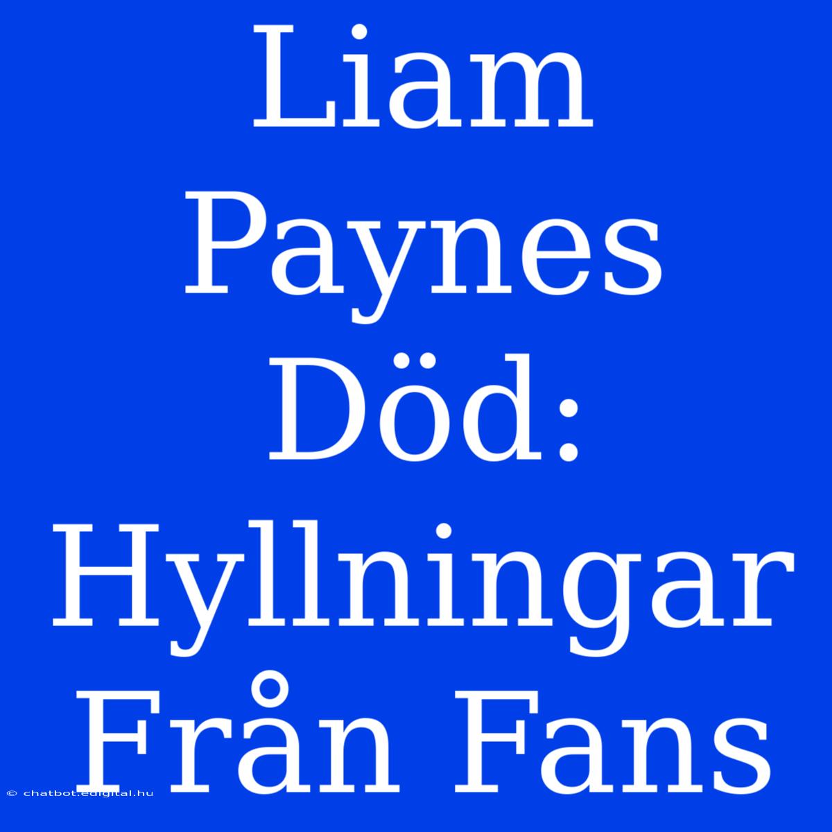 Liam Paynes Död: Hyllningar Från Fans