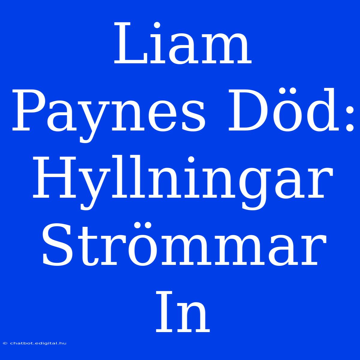 Liam Paynes Död: Hyllningar Strömmar In 