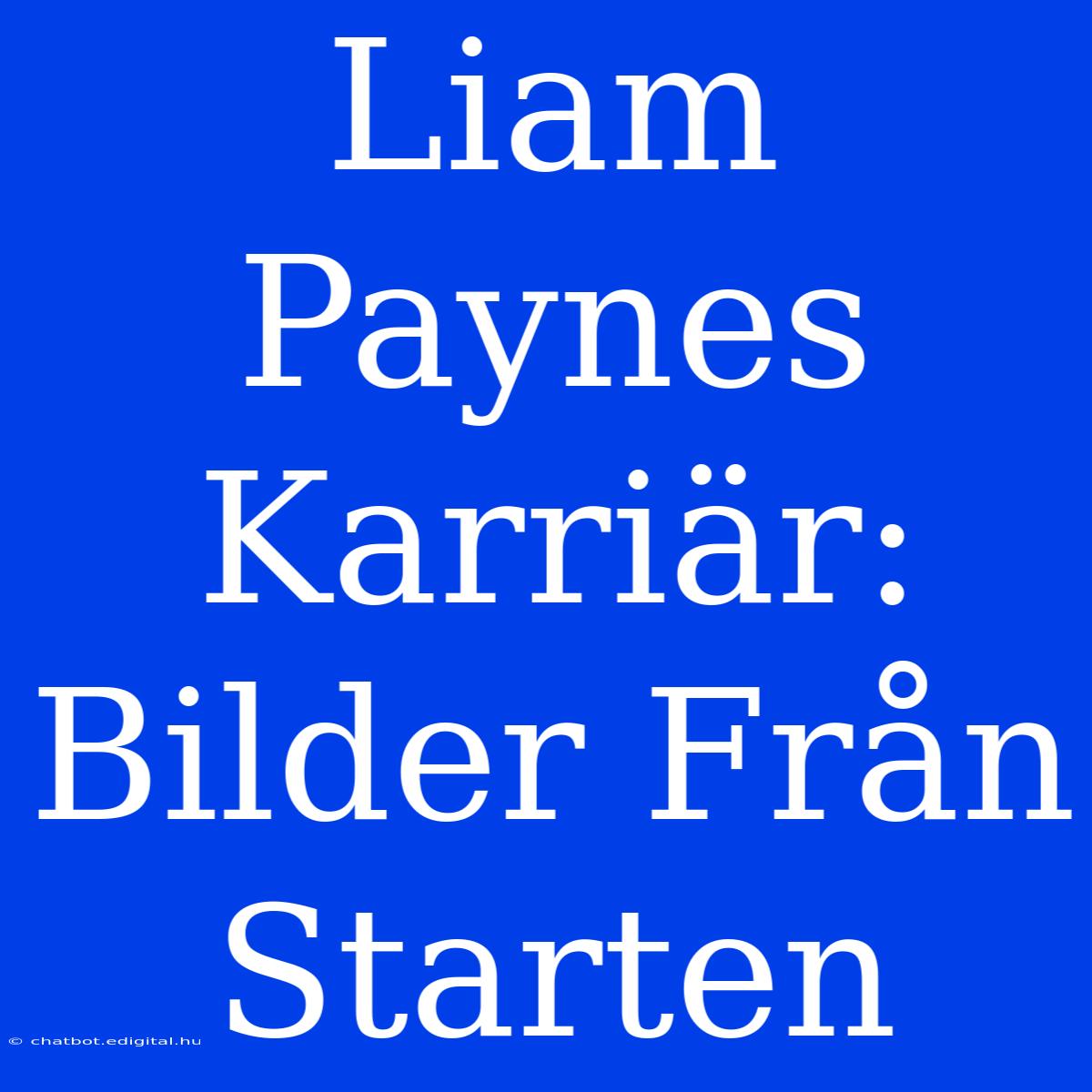 Liam Paynes Karriär: Bilder Från Starten