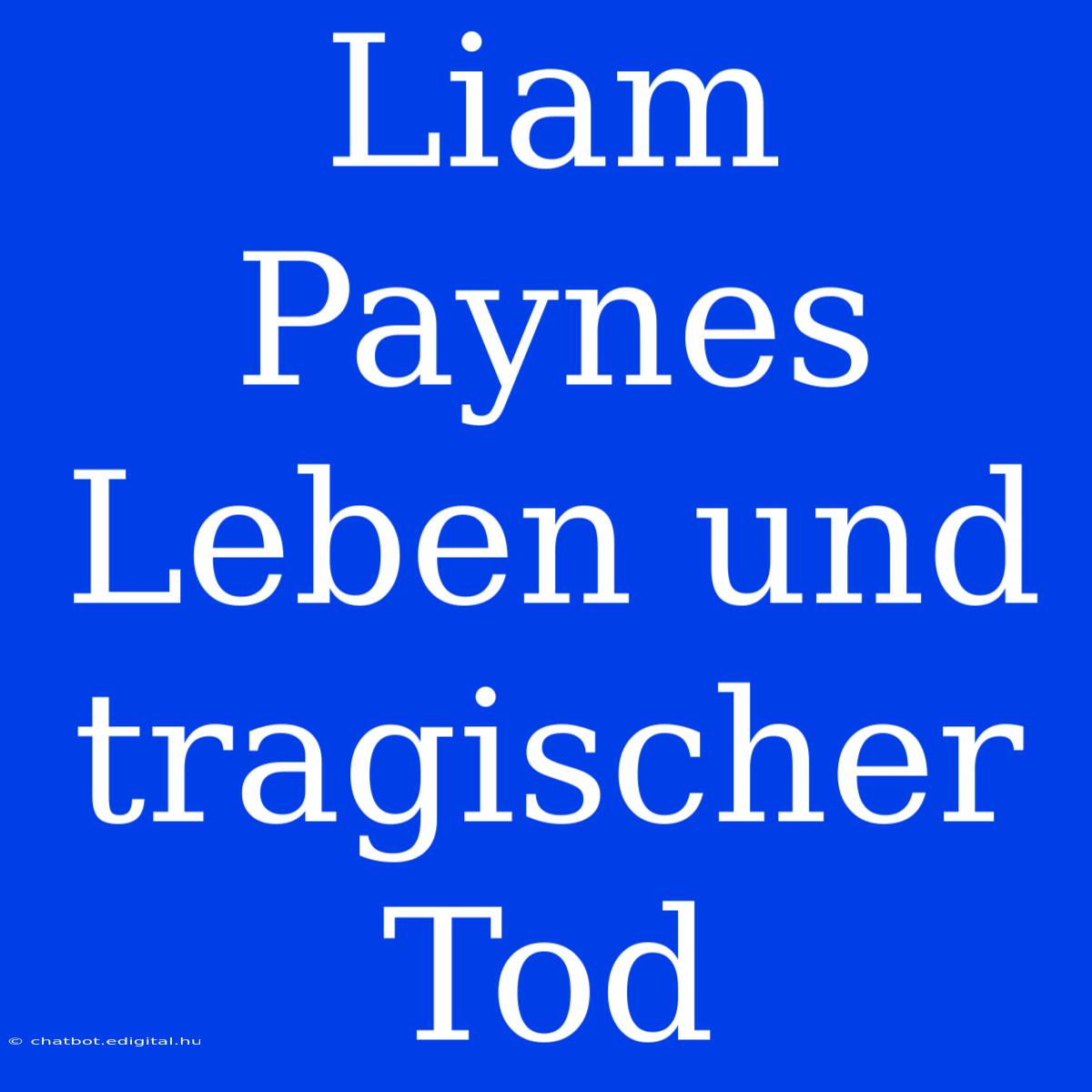 Liam Paynes Leben Und Tragischer Tod