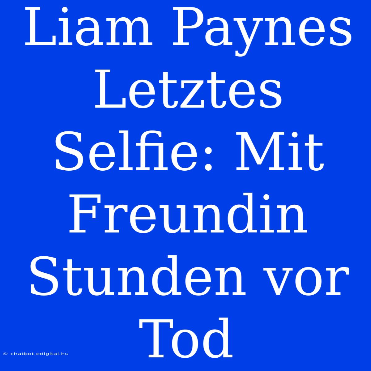 Liam Paynes Letztes Selfie: Mit Freundin Stunden Vor Tod