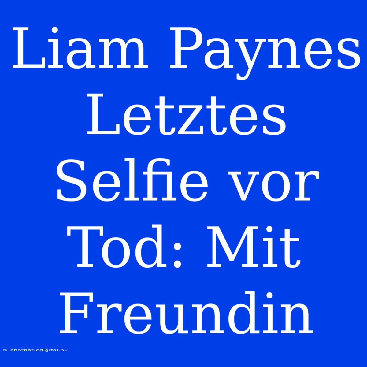 Liam Paynes Letztes Selfie Vor Tod: Mit Freundin