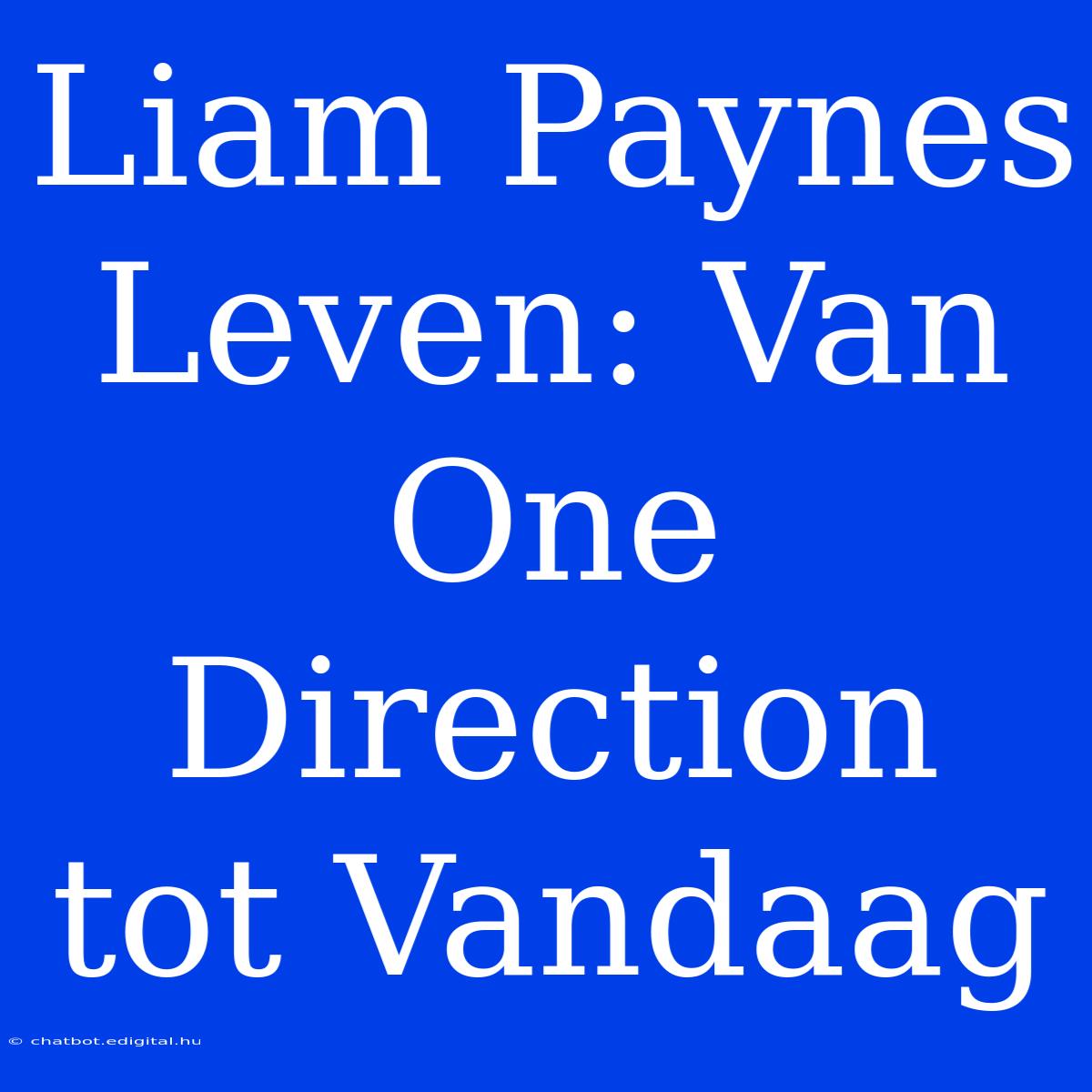 Liam Paynes Leven: Van One Direction Tot Vandaag