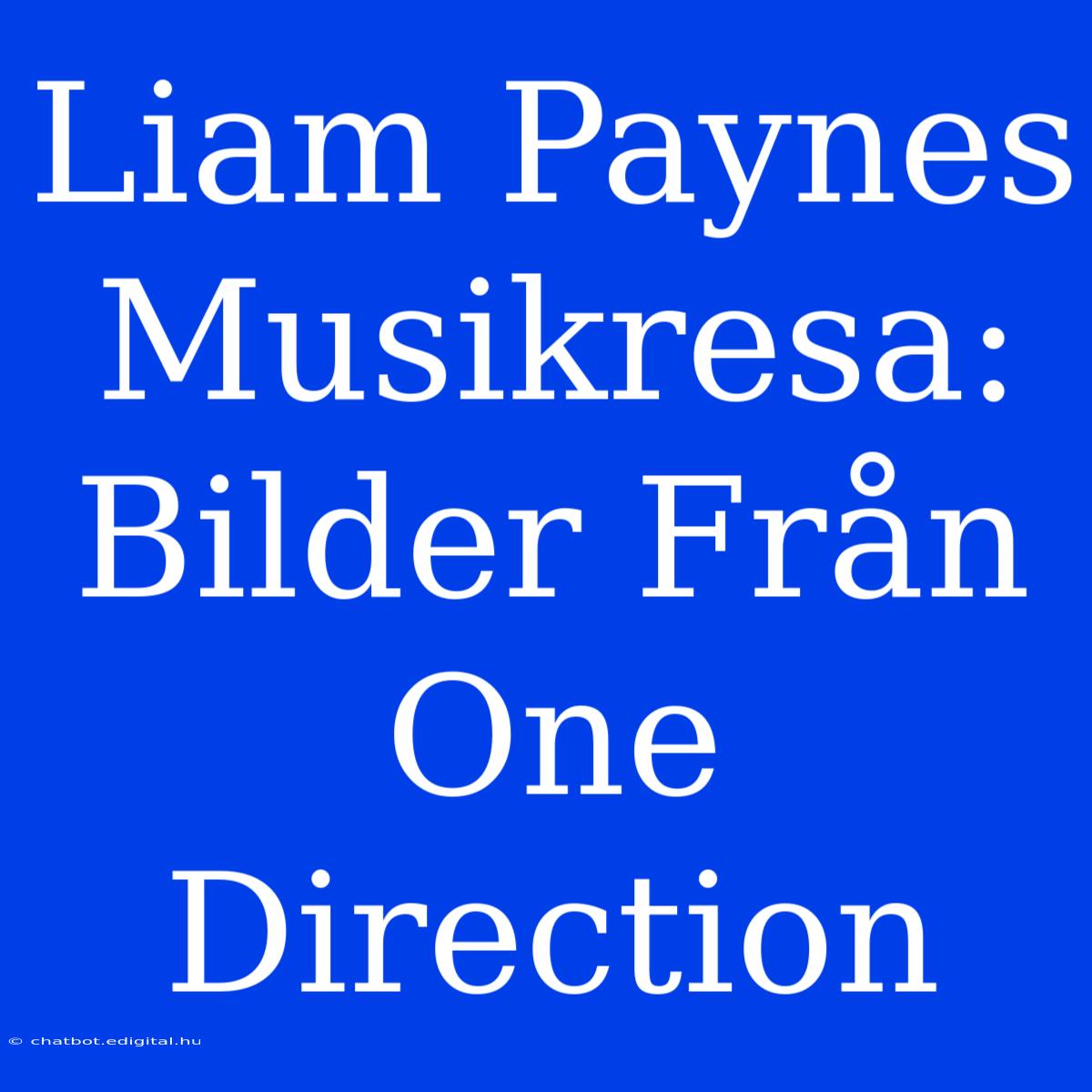 Liam Paynes Musikresa: Bilder Från One Direction