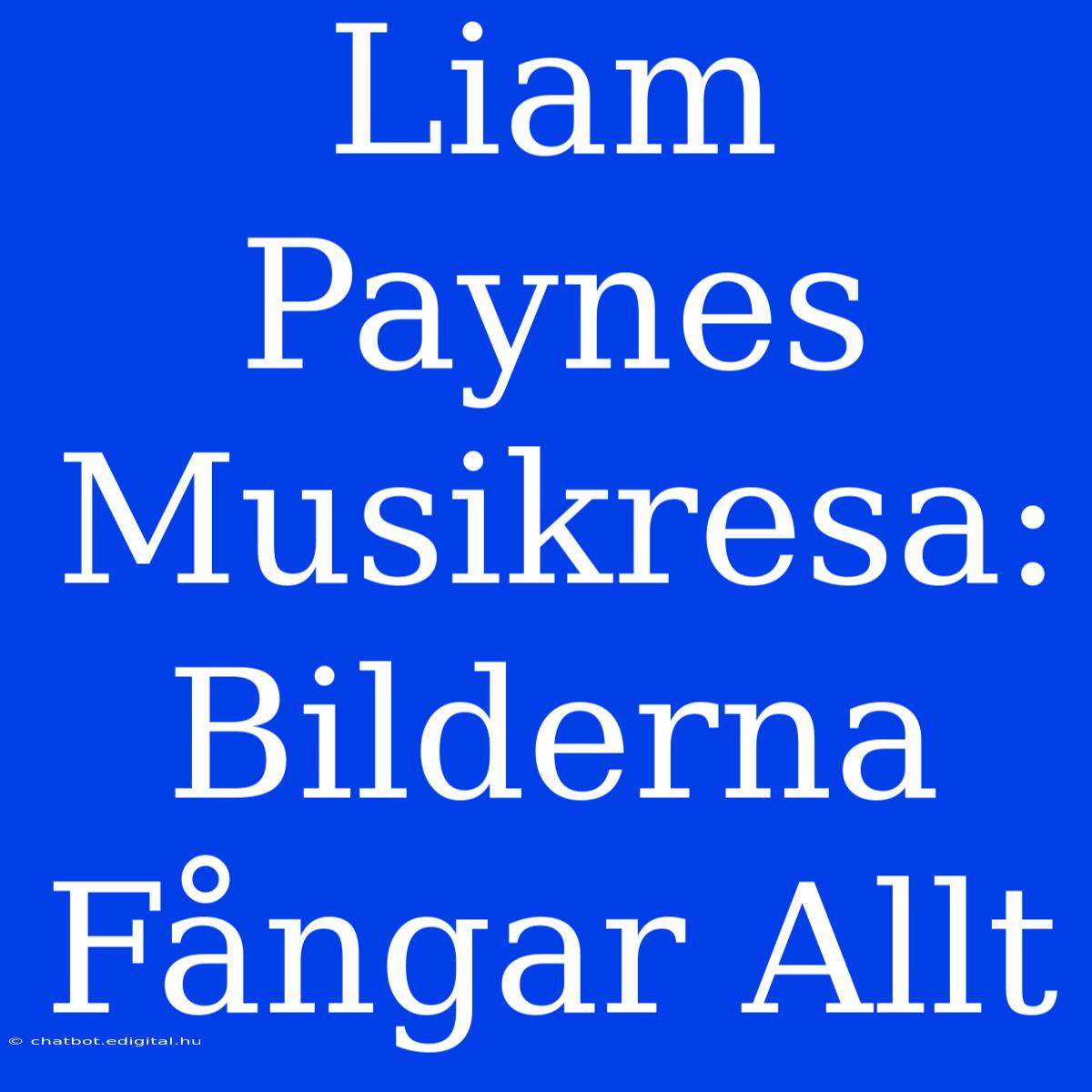 Liam Paynes Musikresa: Bilderna Fångar Allt 