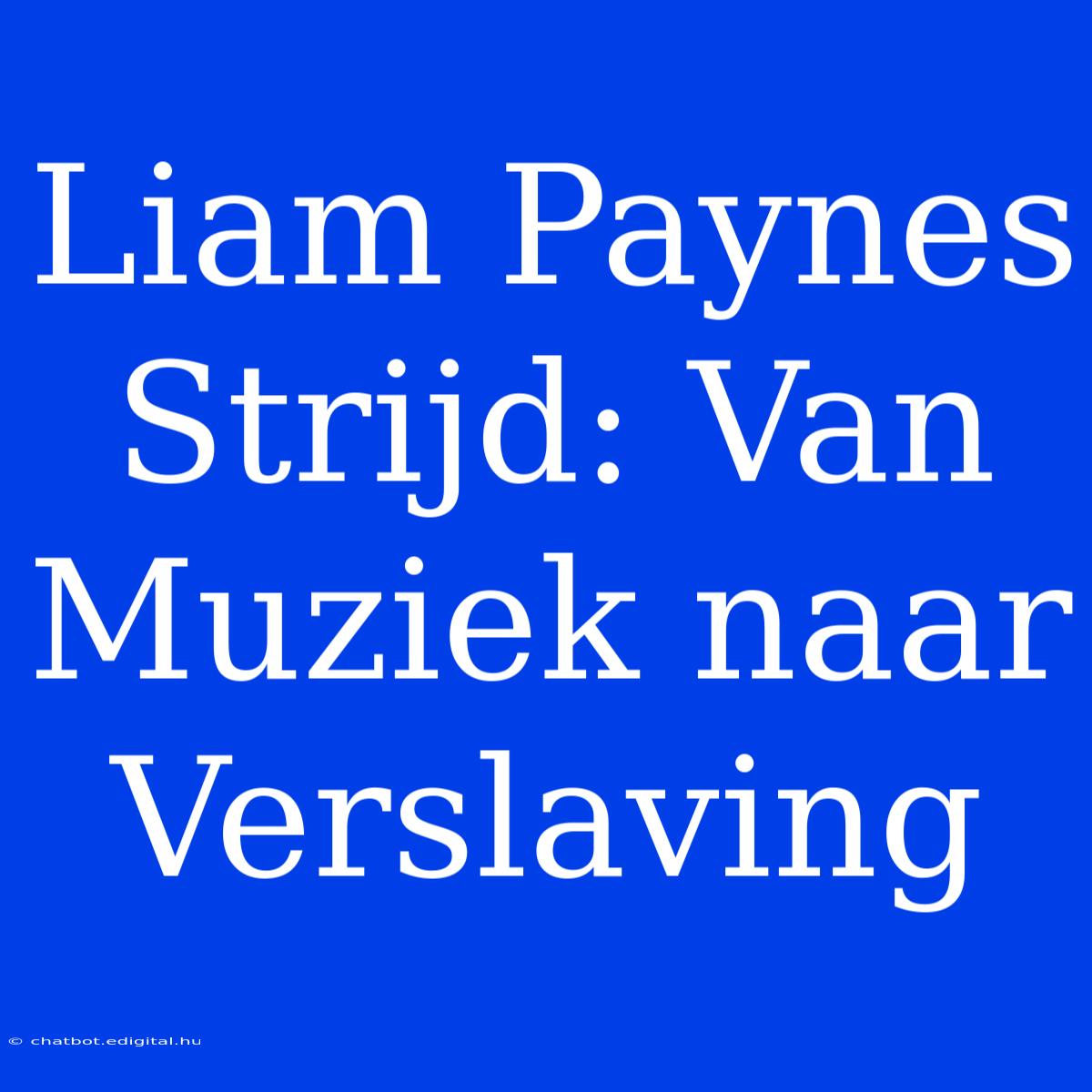 Liam Paynes Strijd: Van Muziek Naar Verslaving