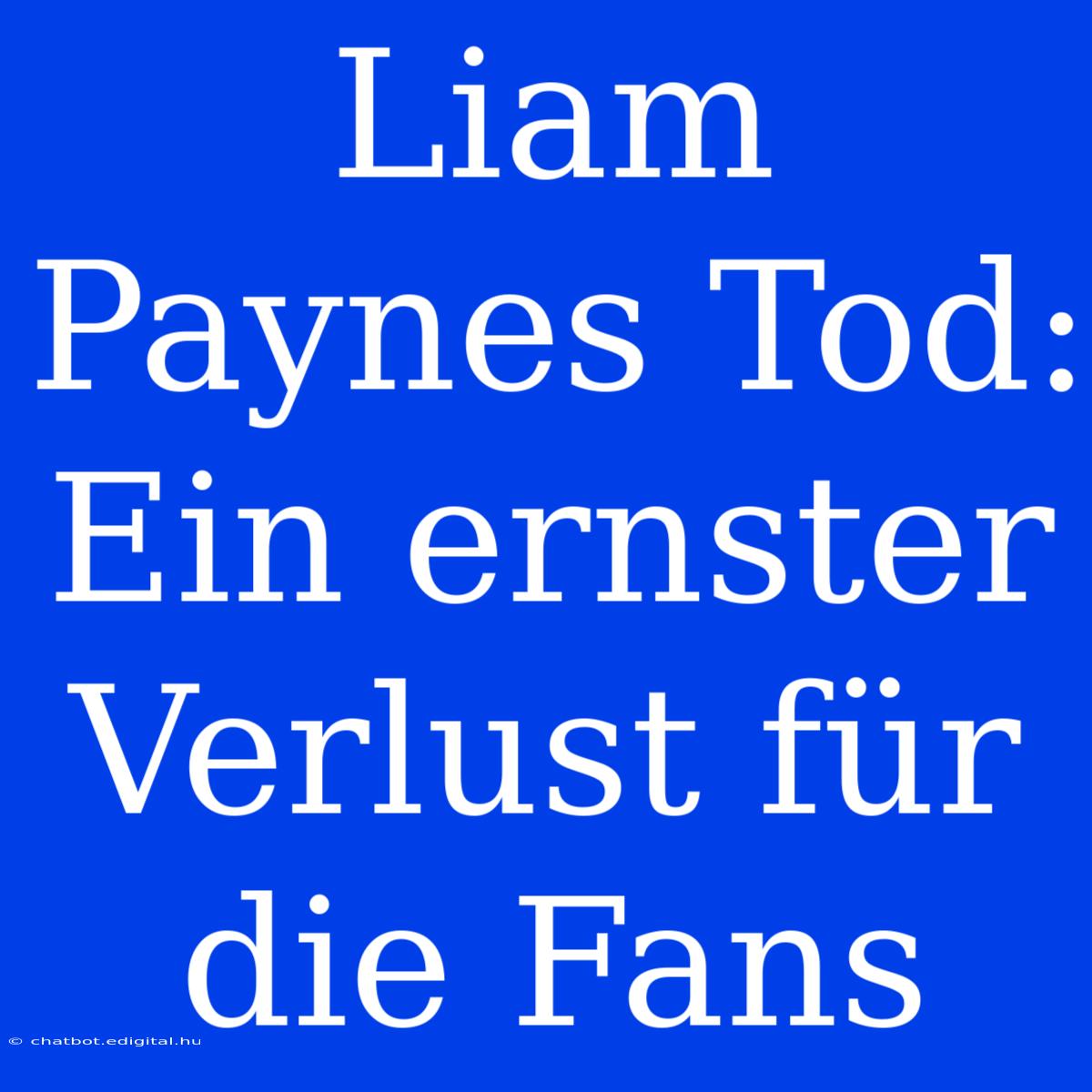 Liam Paynes Tod: Ein Ernster Verlust Für Die Fans