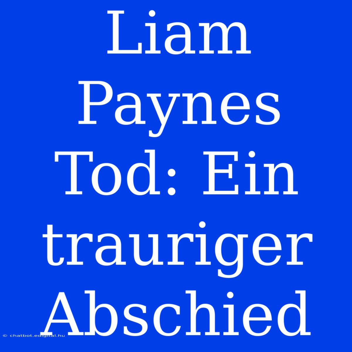 Liam Paynes Tod: Ein Trauriger Abschied