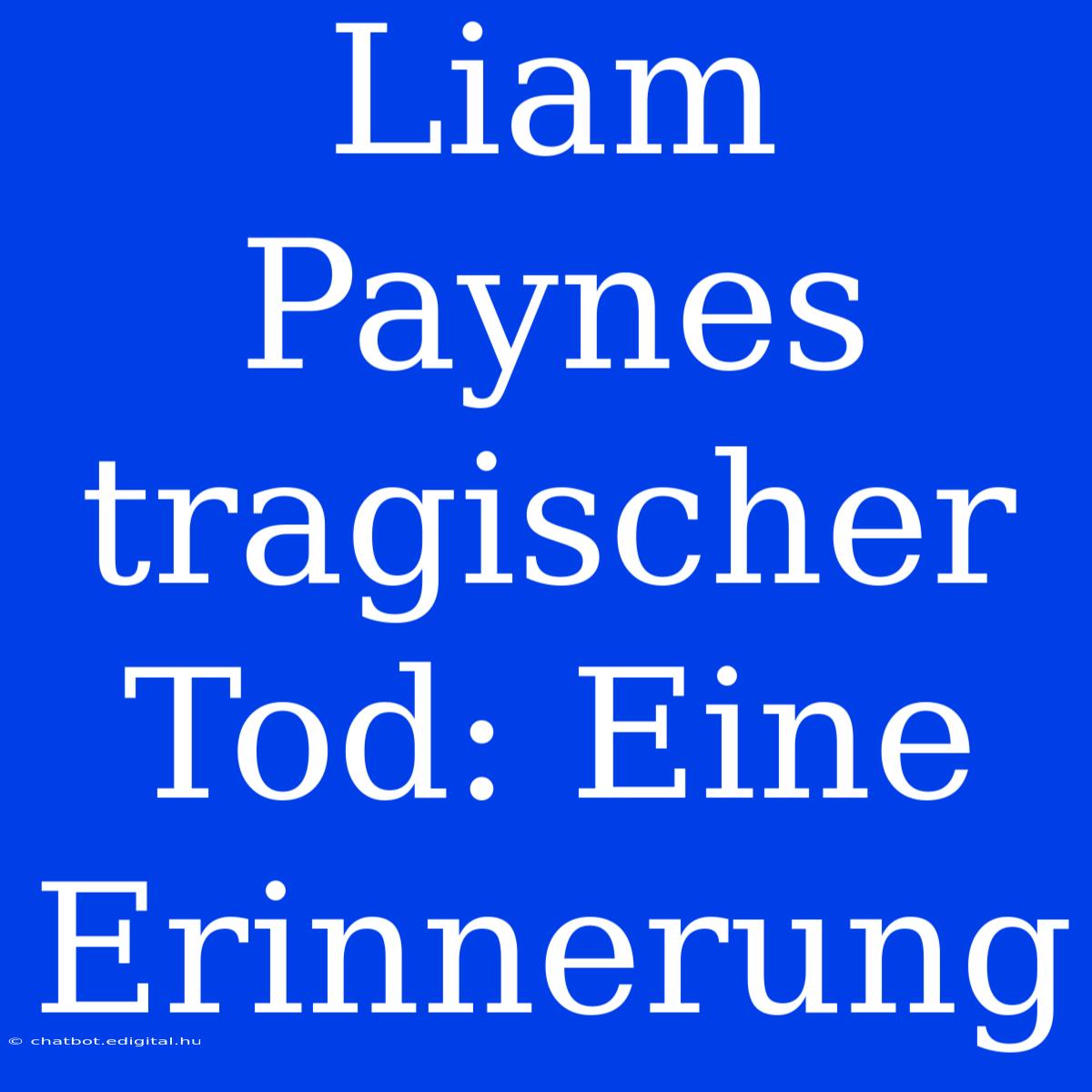 Liam Paynes Tragischer Tod: Eine Erinnerung