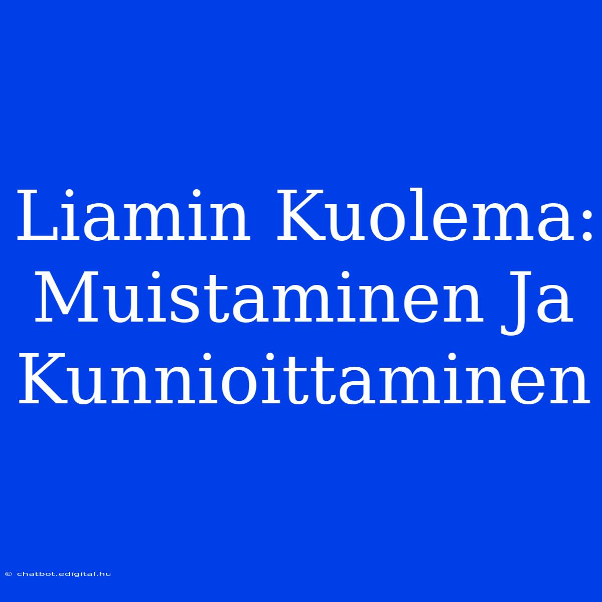 Liamin Kuolema: Muistaminen Ja Kunnioittaminen 