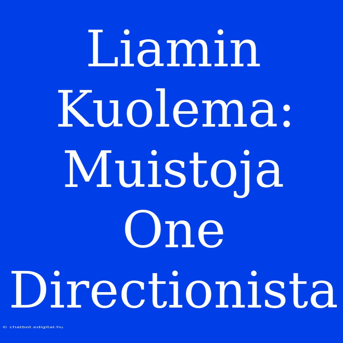 Liamin Kuolema: Muistoja One Directionista