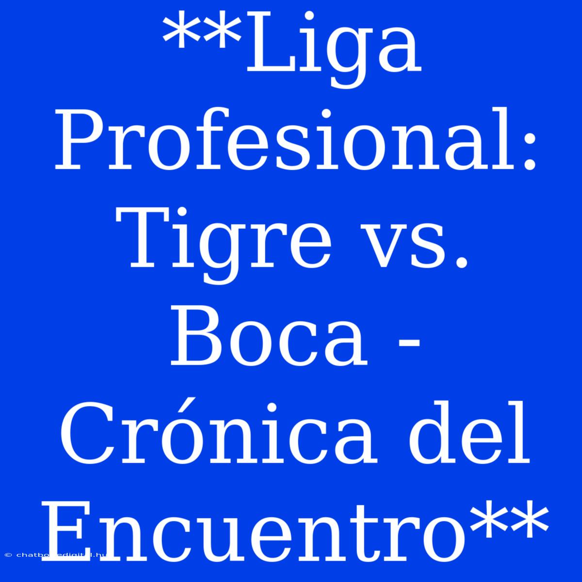 **Liga Profesional: Tigre Vs. Boca - Crónica Del Encuentro**