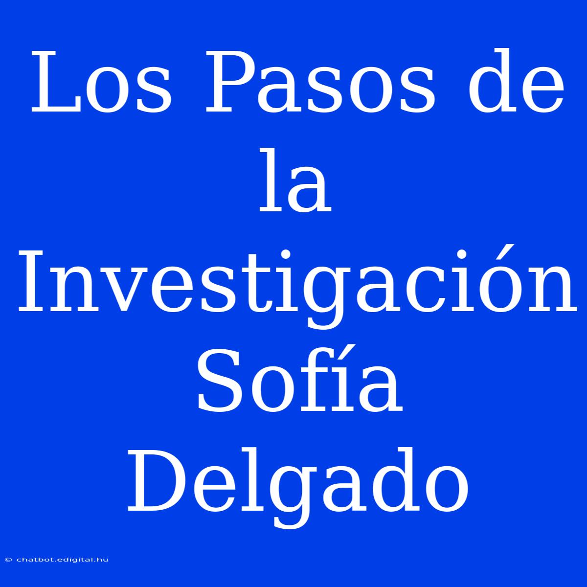 Los Pasos De La Investigación Sofía Delgado