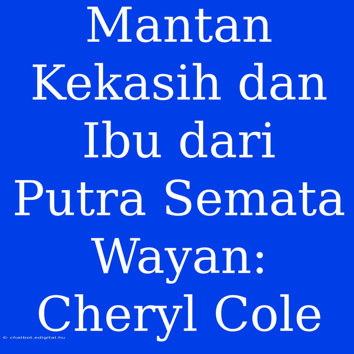 Mantan Kekasih Dan Ibu Dari Putra Semata Wayan: Cheryl Cole