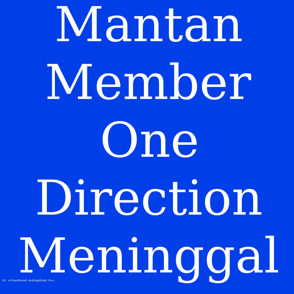 Mantan Member One Direction Meninggal