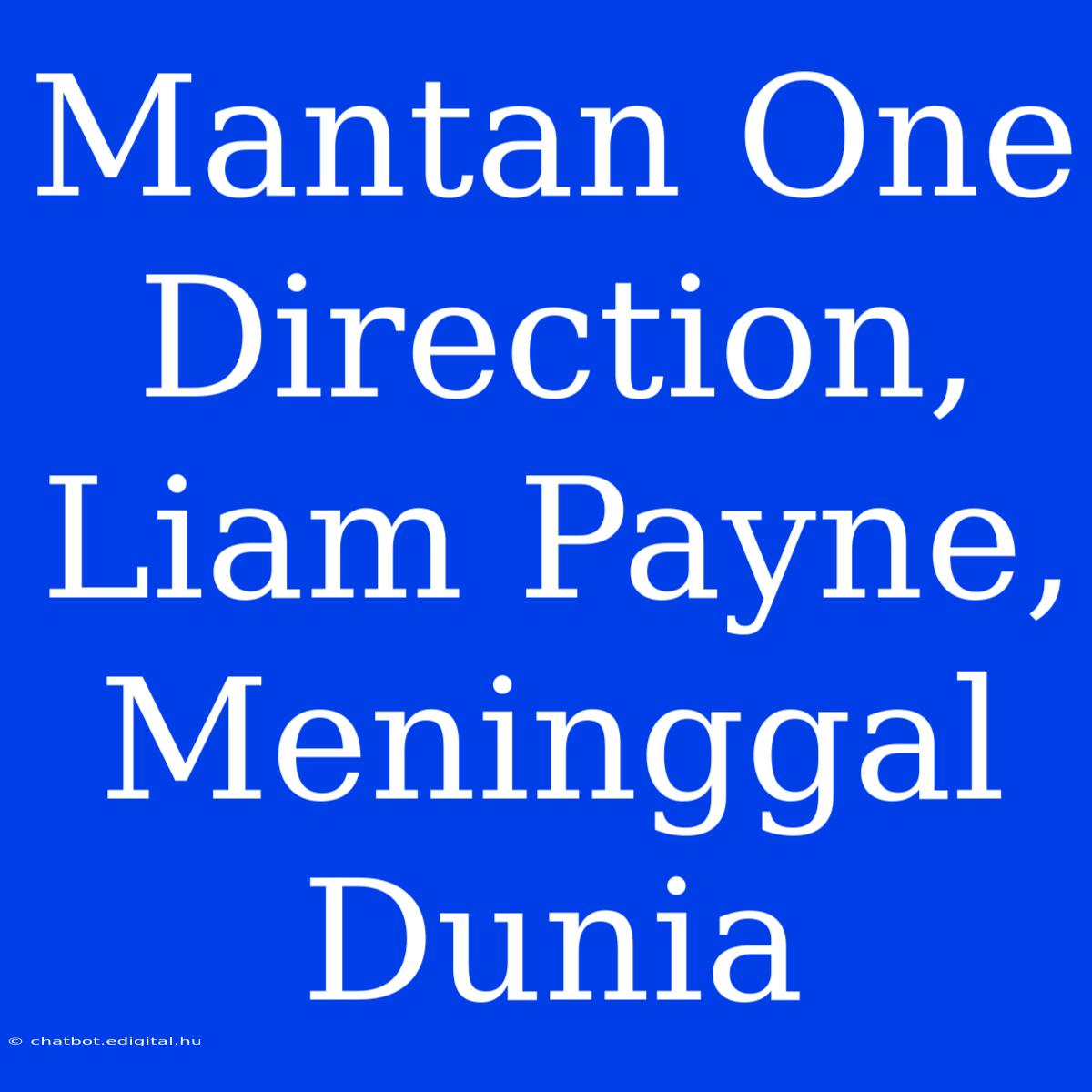 Mantan One Direction, Liam Payne, Meninggal Dunia