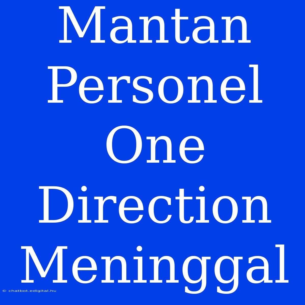 Mantan Personel One Direction Meninggal