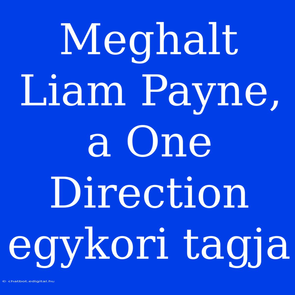 Meghalt Liam Payne, A One Direction Egykori Tagja