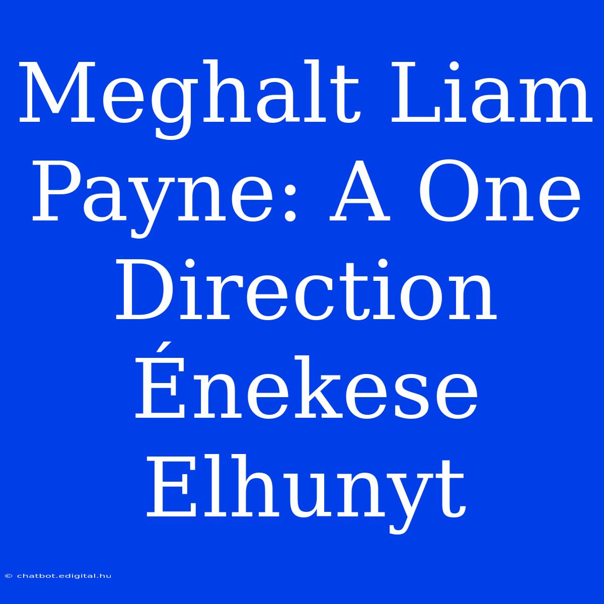 Meghalt Liam Payne: A One Direction Énekese Elhunyt 