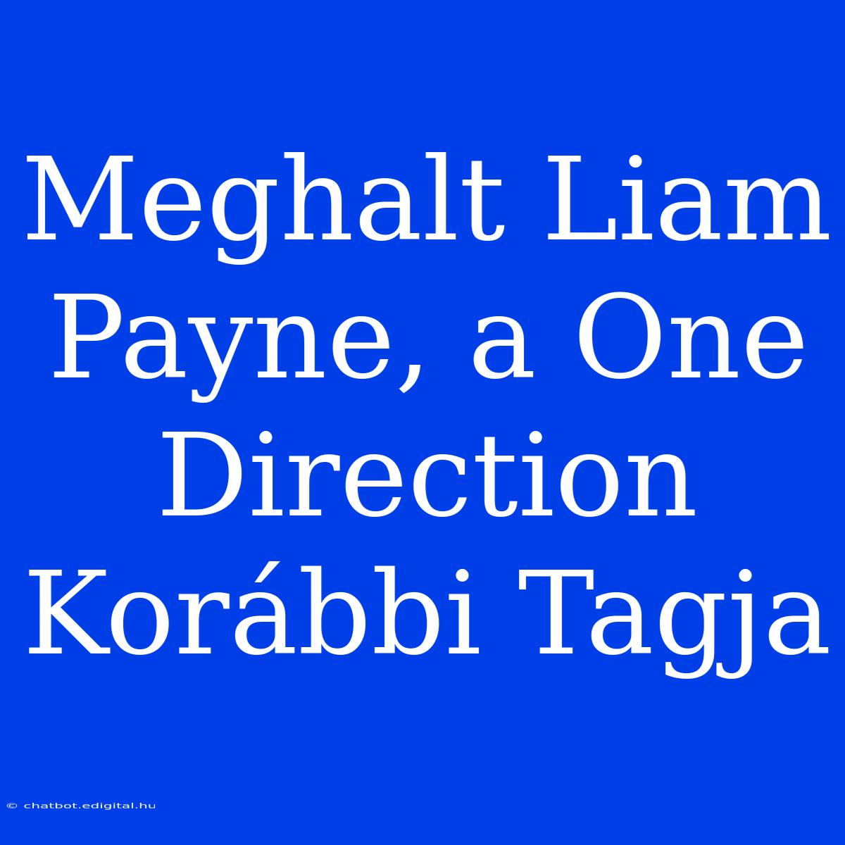 Meghalt Liam Payne, A One Direction Korábbi Tagja