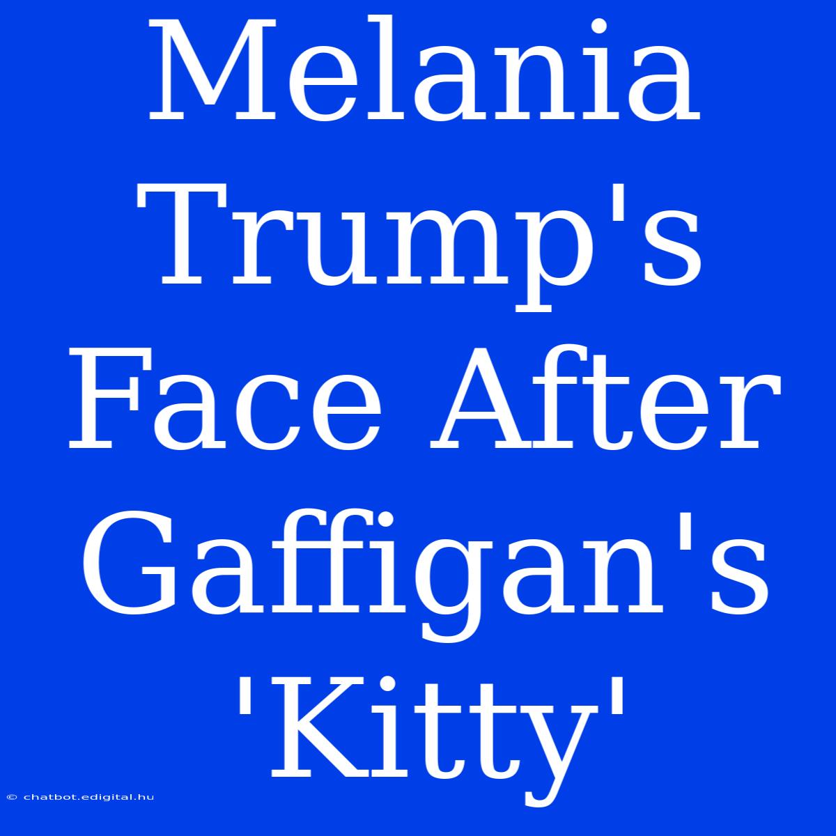 Melania Trump's Face After Gaffigan's 'Kitty'