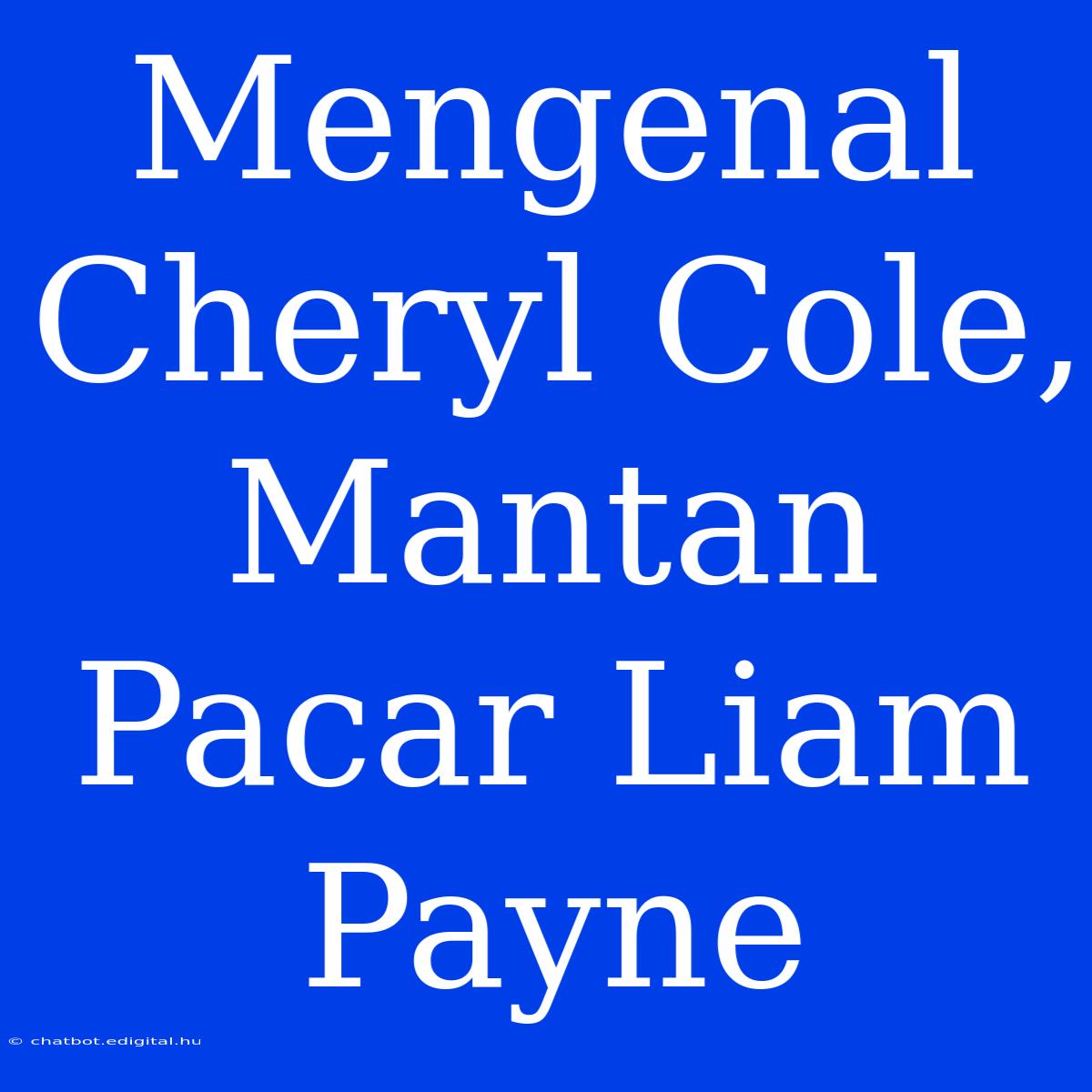 Mengenal Cheryl Cole, Mantan Pacar Liam Payne