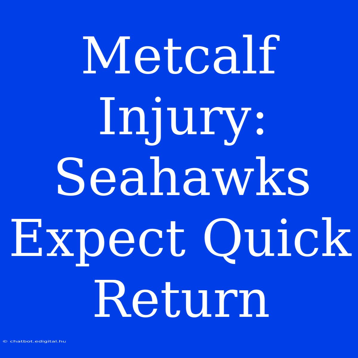 Metcalf Injury: Seahawks Expect Quick Return