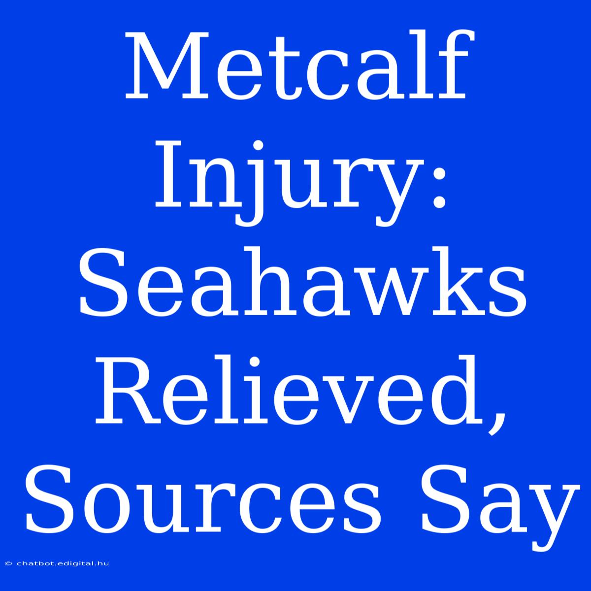 Metcalf Injury: Seahawks Relieved, Sources Say