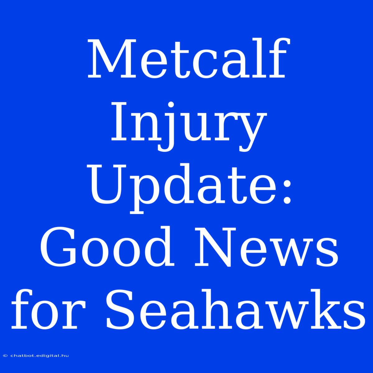 Metcalf Injury Update: Good News For Seahawks