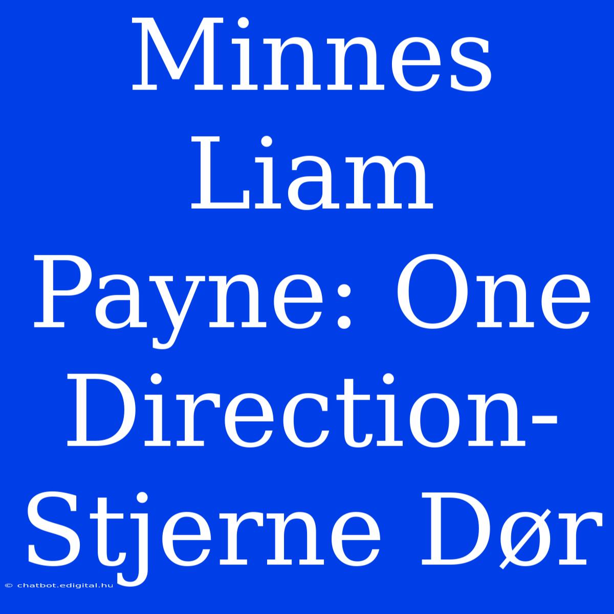 Minnes Liam Payne: One Direction-Stjerne Dør 