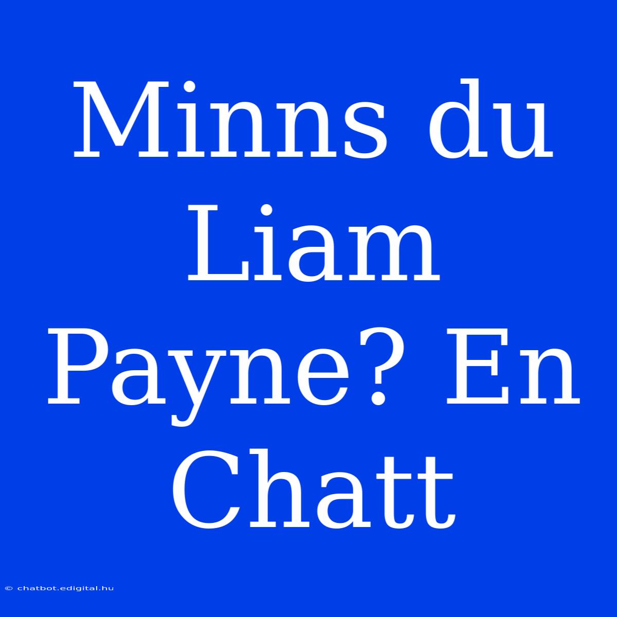 Minns Du Liam Payne? En Chatt