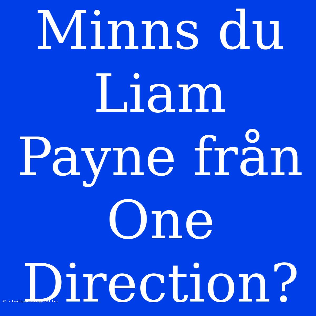 Minns Du Liam Payne Från One Direction?