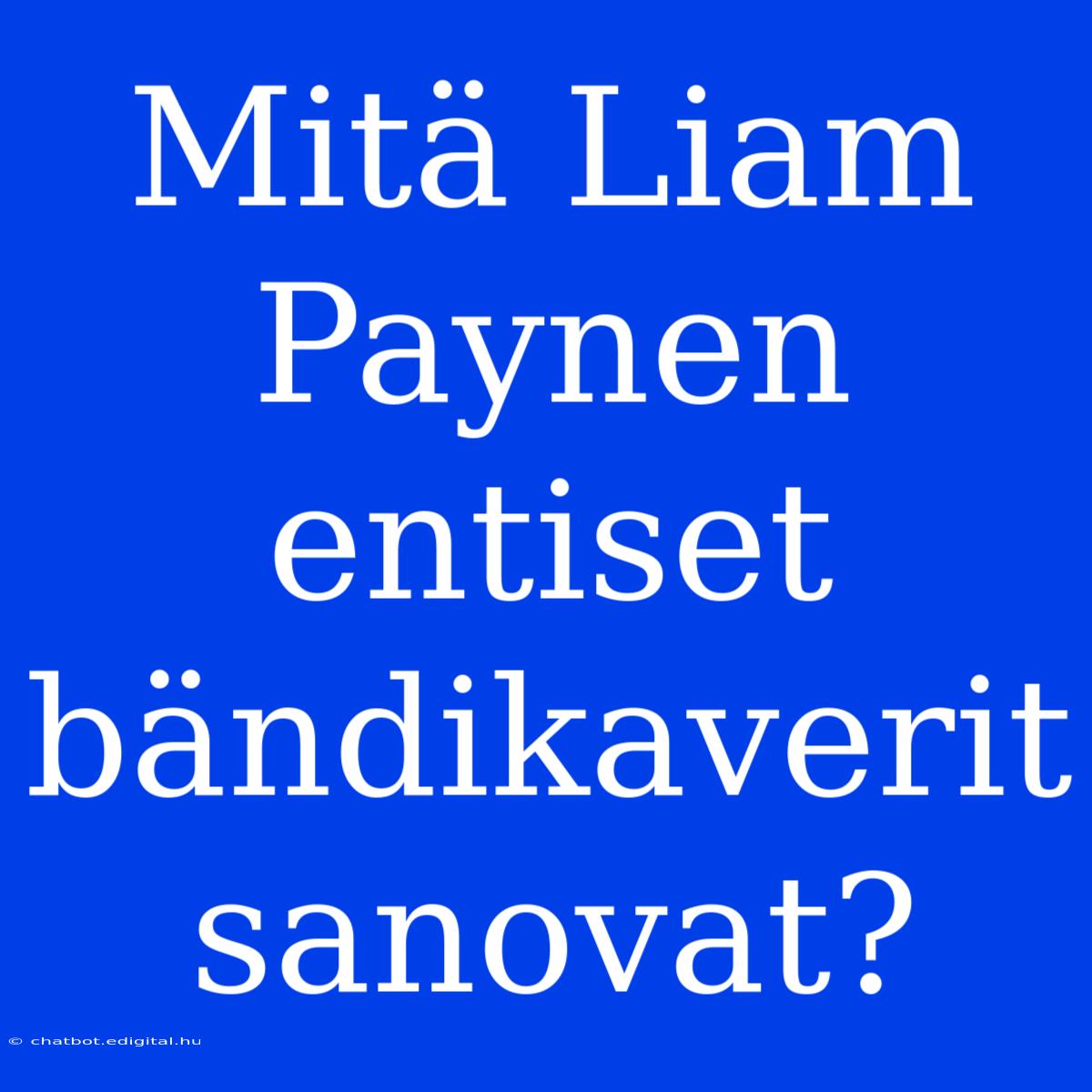 Mitä Liam Paynen Entiset Bändikaverit Sanovat?