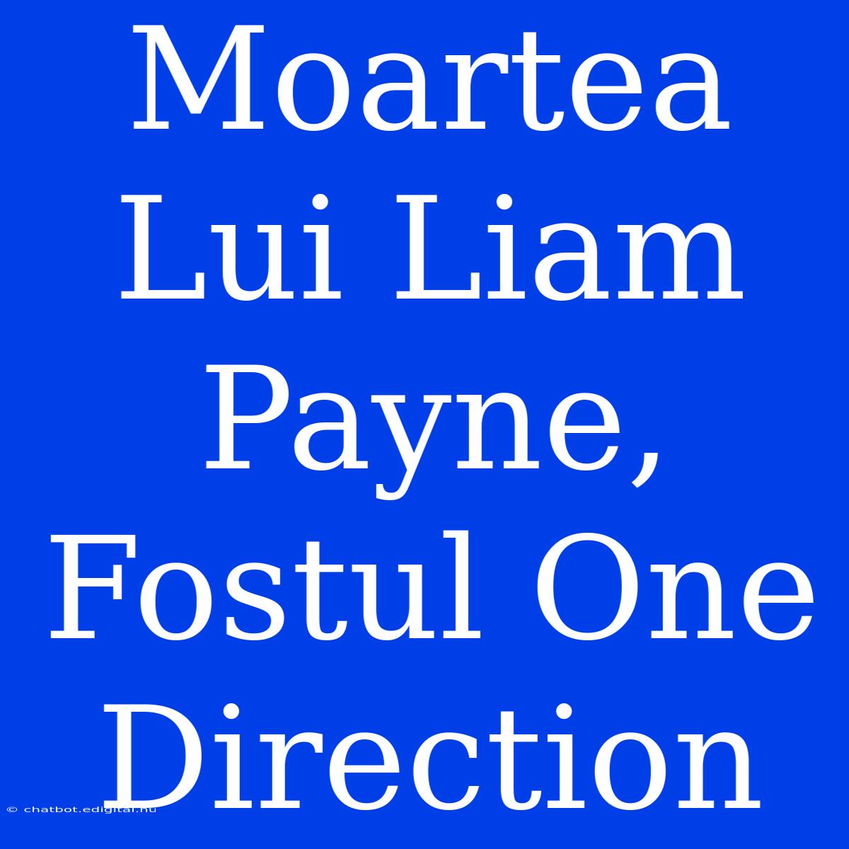 Moartea Lui Liam Payne, Fostul One Direction