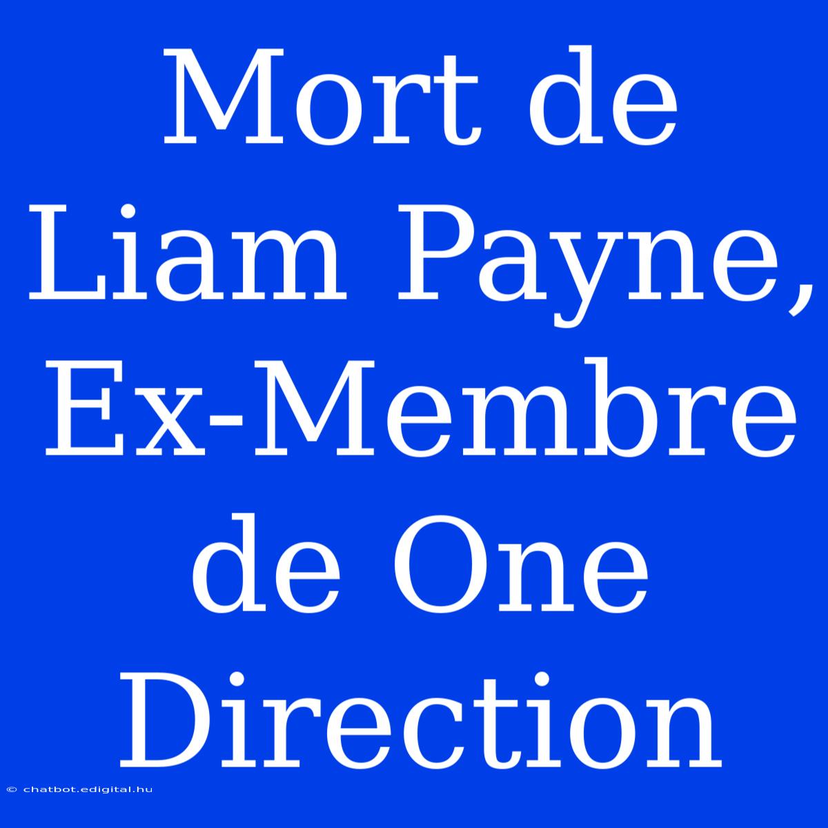 Mort De Liam Payne, Ex-Membre De One Direction