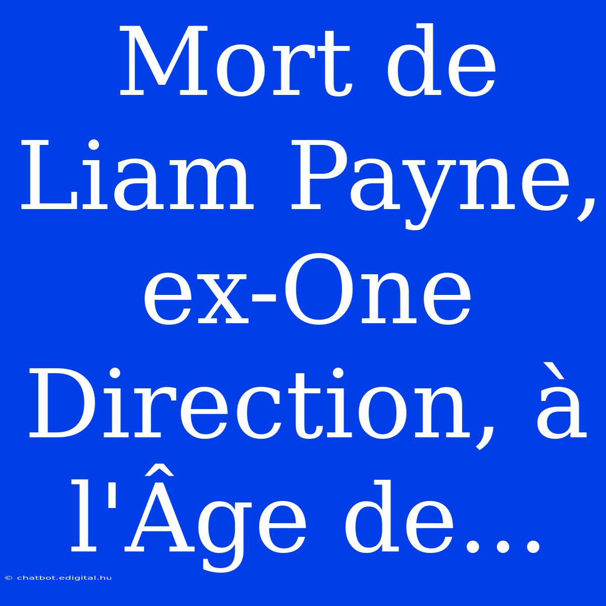 Mort De Liam Payne, Ex-One Direction, À L'Âge De...