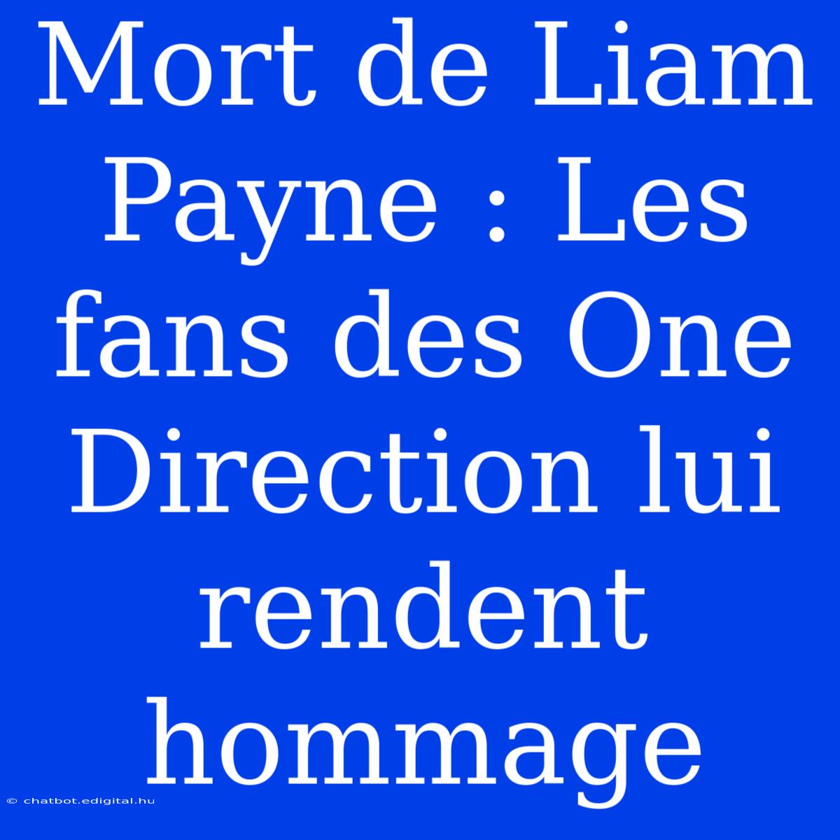 Mort De Liam Payne : Les Fans Des One Direction Lui Rendent Hommage 