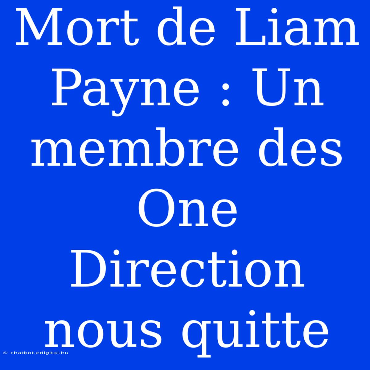 Mort De Liam Payne : Un Membre Des One Direction Nous Quitte