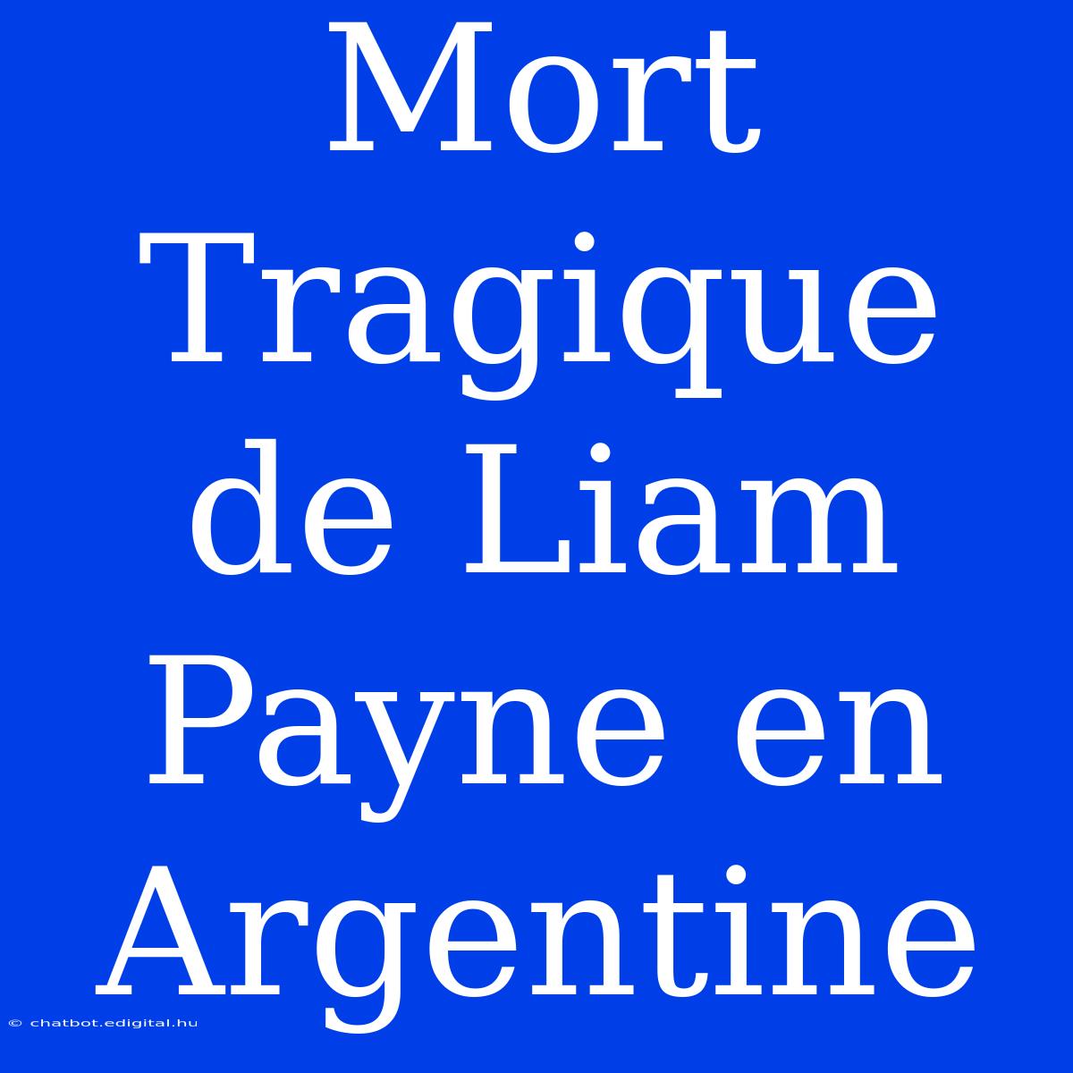 Mort Tragique De Liam Payne En Argentine