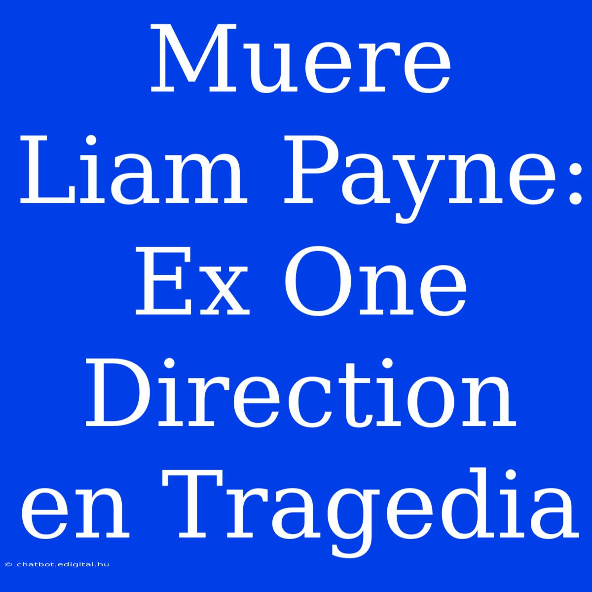 Muere Liam Payne: Ex One Direction En Tragedia