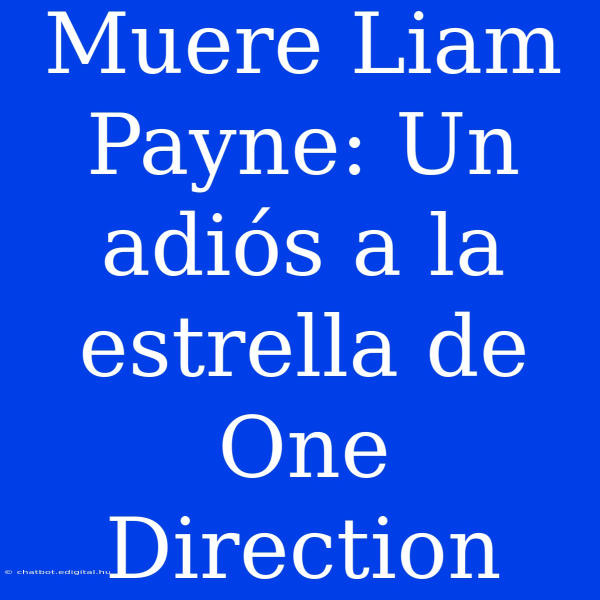 Muere Liam Payne: Un Adiós A La Estrella De One Direction